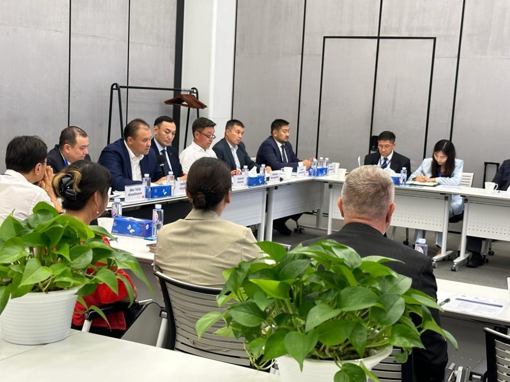 Kazakhstan Interested in Establishing Cooperation with Pharmaceutical, Medical Device, and Equipment Manufacturers from China