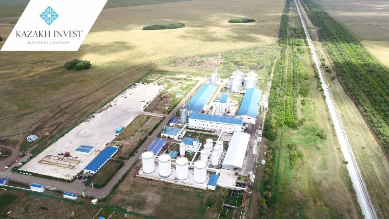 The investor expanded the production of rapeseed oil in the North Kazakhstan region
