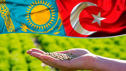 Турецкие инвесторы планируют построить завод по переработке чечевицы за $17 млн в СКО