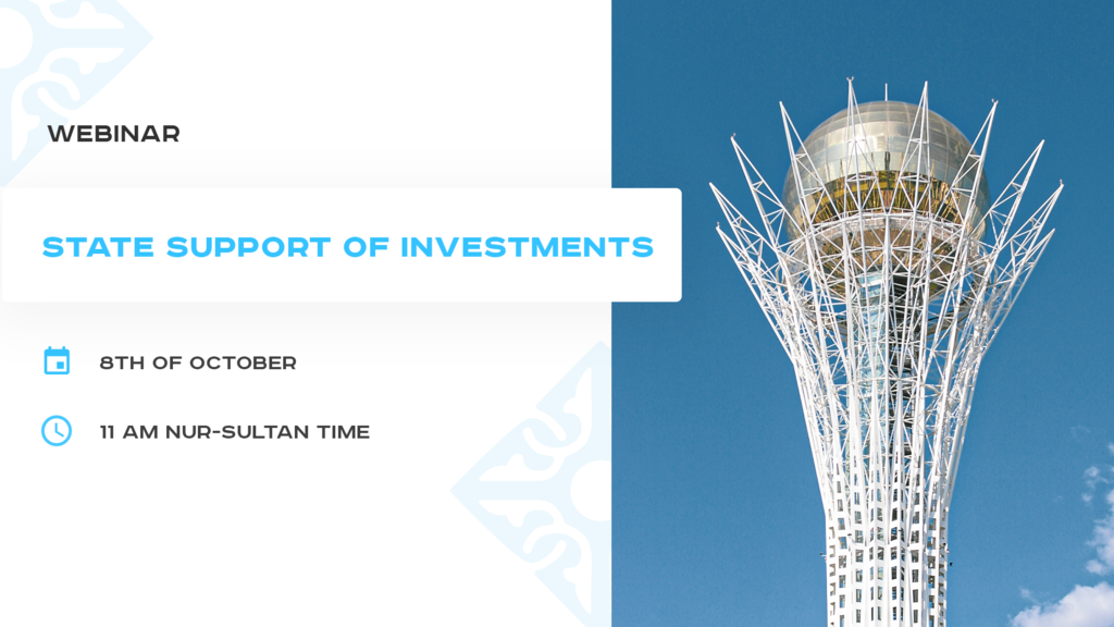 Webinar: State Support of Investments