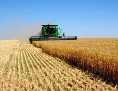 Казахстан улучшил позиции в мировом рейтинге по продовольственной безопасности