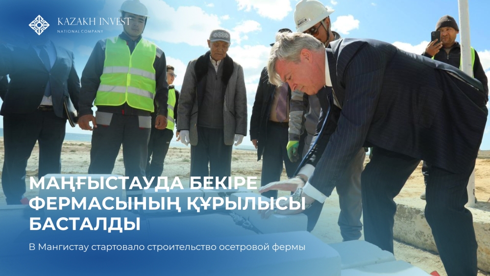 A sturgeon farm project has begun in the Mangystau region