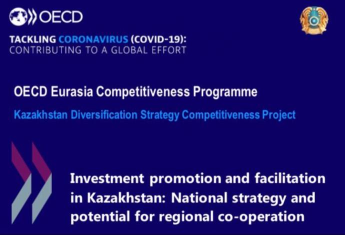 Kazakhstan and OECD Discuss Issues of Stimulating Investment During the Pandemic