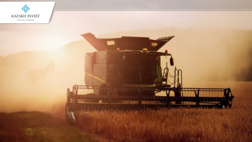 The Emirati holding plans to invest in the agro-industrial complex of Kazakhstan