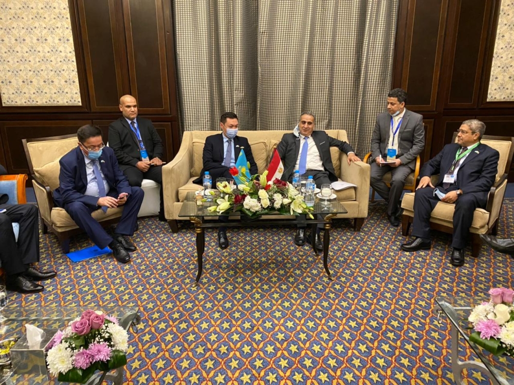 Казахстан и Египет – развитие экономического сотрудничества 