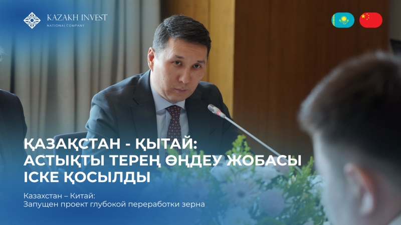 Ақмола облысында терең астық өңдеу зауытын салу жоспарлануда