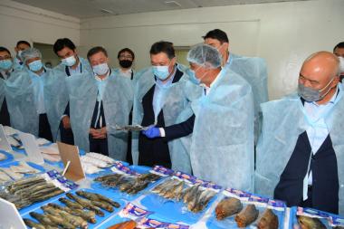Prime Minister of the Republic of Kazakhstan A. Mamin held a seminar-meeting on the development of the country's fishing industry in Shardara