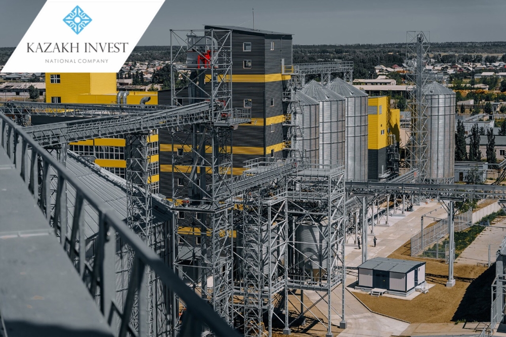 В ВКО запущен завод по производству масличных культур