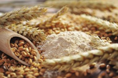 Kazakhstan to Lift Restrictions on Grain, Flour Exports in September